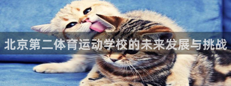 betway西汉姆联：北京第二体育运动学校的未来发展与挑战
