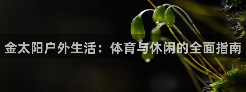 betway西汉姆：金太阳户外生活：体育与休闲的全面指南
