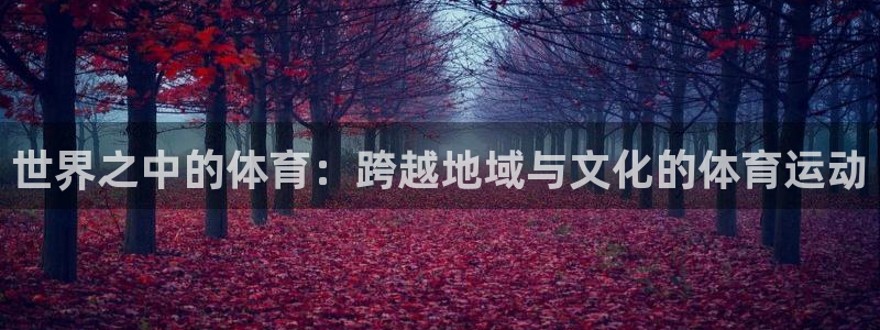 必威betway西汉姆联：世界之中的体育：跨越地域与文化的体育运动