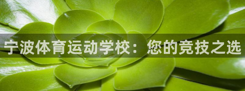 必威betway西汉姆联：宁波体育运动学校：您的竞技之选