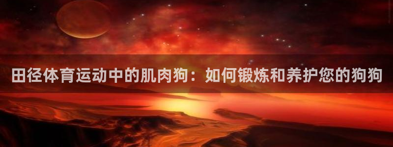 betway西汉姆联官网：田径体育运动中的肌肉狗：如何锻炼和养护您的狗狗