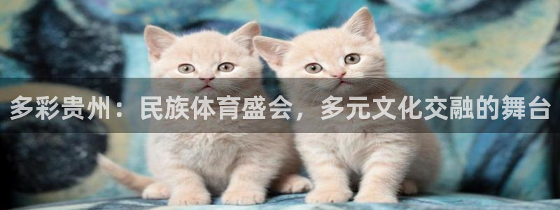 必威betway西汉姆联：多彩贵州：民族体育盛会，多元文化交融的舞台