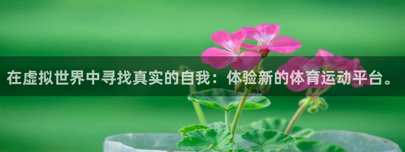 betway西汉姆联官网：在虚拟世界中寻找真实的自我：体验新的体育运动平台。