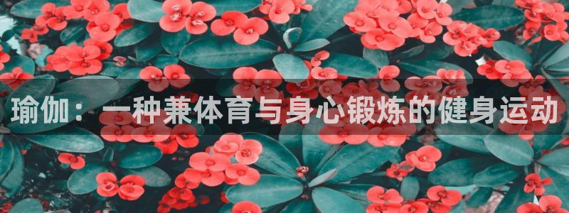 betway西汉姆联：瑜伽：一种兼体育与身心锻炼的健身运动